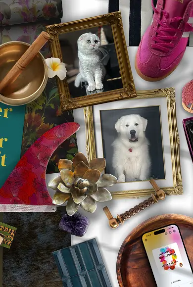 Flat lay with framed pet portraits, pink sneakers, succulents, colorful fabrics, and a smartphone on a tray.