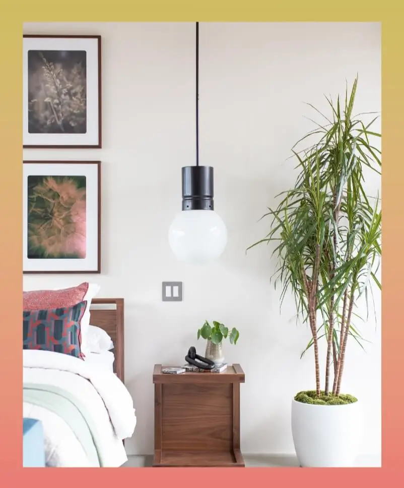 Corner from Grace Blu’s with layered framed artwork, potted greenery, and warm color palette with overhead lamp.